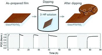 Graphical abstract: Enhanced long-term stability of perovskite solar cells by 3-hydroxypyridine dipping