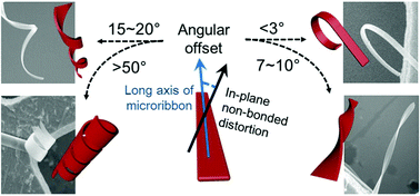 Graphical abstract: Diverse macroscopic helical motions of microribbons driven by electrons