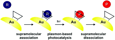 Graphical abstract: Enhanced photocatalytic activity of gold nanoparticles driven by supramolecular host–guest chemistry
