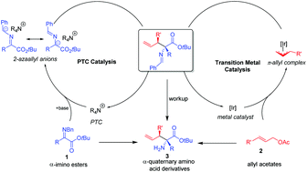 Graphical abstract: Ir/PTC cooperatively catalyzed asymmetric umpolung allylation of α-imino ester enabled synthesis of α-quaternary amino acid derivatives bearing two vicinal stereocenters