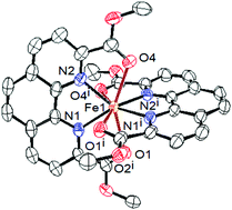 Graphical abstract: Slow magnetic relaxation in a mononuclear 8-coordinate Fe(ii) complex