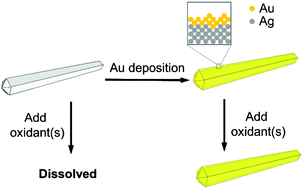 Graphical abstract: Facile synthesis of Ag@Au core–sheath nanowires with greatly improved stability against oxidation