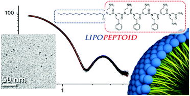 Graphical abstract: Self-assembly of ultra-small micelles from amphiphilic lipopeptoids