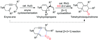 Graphical abstract: An enyne cycloisomerization/[5+1] reaction sequence to synthesize tetrahydroisoquinolinones from enyne-enes and CO