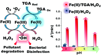 Graphical abstract: Remarkable enhancement of Fenton degradation at a wide pH range promoted by thioglycolic acid