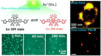Graphical abstract: One-colour control of activation, excitation and deactivation of a fluorescent diarylethene derivative in super-resolution microscopy