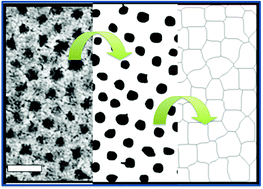 Graphical abstract: Nearest-neighbour nanocrystal bonding dictates framework stability or collapse in colloidal nanocrystal frameworks