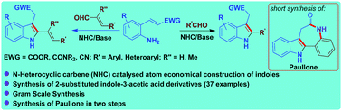 Graphical abstract: N-Heterocyclic carbene (NHC)-catalysed atom economical construction of 2,3-disubstituted indoles