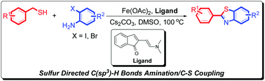 Graphical abstract: Iron(ii)-catalyzed sulfur directed C(sp3)–H bond amination/C–S cross coupling reaction