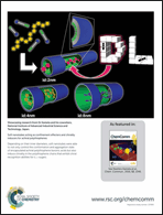 Graphical abstract: Inside back cover