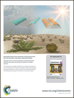 Graphical abstract: Inside back cover