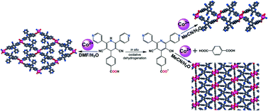 Graphical abstract: Cobalt coordination polymers regulated by in situ ligand transformation