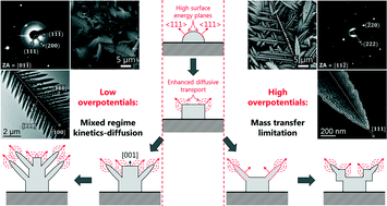 Graphical abstract: On the growth mechanism of electrodeposited PbTe dendrites