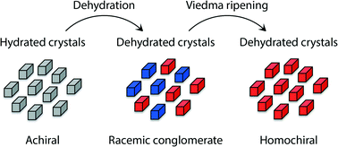 Graphical abstract: Homochiral crystal generation via sequential dehydration and Viedma ripening
