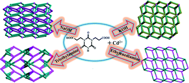 Graphical abstract: Alkaline reagent-induced structural diversity of four metal–organic frameworks based on a flexible bicarboxylate ligand