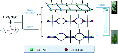 Graphical abstract: In situ recrystallization of lanthanide coordination polymers: from 1D ladder chains to 1D linear chains