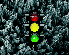 Graphical abstract: Polypeptide effect on Mg2+ hydration inferred from CaCO3 formation: a biomineralization study by counter-diffusion