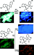 Graphical abstract: The effects of positional isomers, protonation and solvent on the morphologies and photophysical properties of boron difluoride complex microcrystals