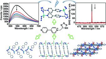 Graphical abstract: Fluorescence and photochromic properties of a series of new Zn(ii)/Cd(ii) coordination compounds with a flexible semi-rigid tetrazole–viologen derivative