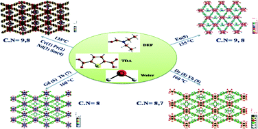 Graphical abstract: Lanthanide-based entangled coordination polymers connected by thiophene-2,5-dicarboxylate: solvothermal syntheses, crystal structures, luminescence and magnetic properties