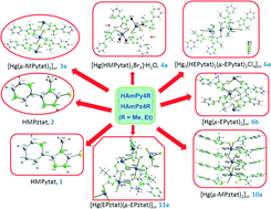 Graphical abstract: In situ generation of functionalized 1,2,4-triazole-5-thiones containing pyridine or pyrazine moieties and their coordination to HgII