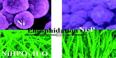 Graphical abstract: Shape-controlled synthesis and performance comparison of Ni2P nanostructures