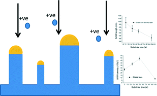 Graphical abstract: Controlling nanowire nucleation and growth with a negative substrate bias