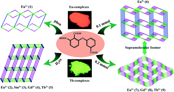 Graphical abstract: Assembly of one-, two-, and three-dimensional Ln(iii) complexes constructed from a novel asymmetric tricarboxylic acid: synthesis, structure, photoluminescence and tunable white-light emission