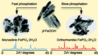 Graphical abstract: Phase-controlled synthesis of iron phosphates via phosphation of β-FeOOH nanorods