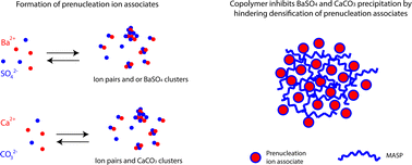 Graphical abstract: A potentiometric study of the performance of a commercial copolymer in the precipitation of scale forming minerals