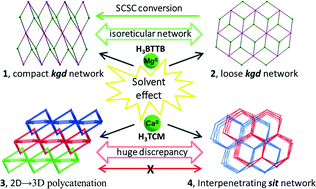 Graphical abstract: Structural diversification and single-crystal-to-single-crystal transformation of alkaline earth metal-based MOFs regulated by solvent effect