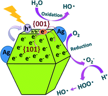 Graphical abstract: A facile hydrothermal etching process to in situ synthesize highly efficient TiO2/Ag nanocube photocatalysts with high-energy facets exposed for enhanced photocatalytic performance