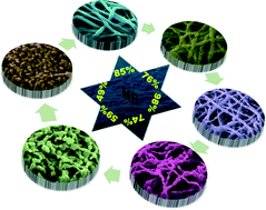 Graphical abstract: Grain boundary engineering in electrospun ZnO nanostructures as promising photocatalysts