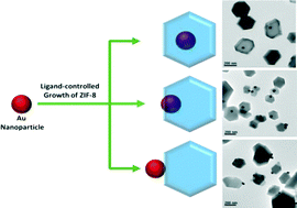 Graphical abstract: Controlled growth of a metal–organic framework on gold nanoparticles