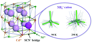 Graphical abstract: Order–disorder phase transition in the first thiocyanate-bridged double perovskite-type coordination polymer: [NH4]2[NiCd(SCN)6]