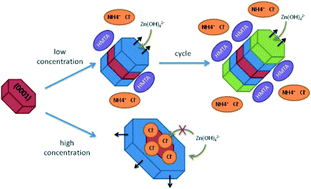 Graphical abstract: Aspect ratio improvement of ZnO nanowires grown in liquid phase by using step-by-step sequential growth