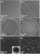 Graphical abstract: Epitaxial growth of silicon nanowire arrays at wafer-scale using high-speed rotating-disk CVD for improved light-trapping