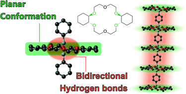 Graphical abstract: One-dimensional supramolecular columnar structure of trans-syn-trans-dicyclohexano[18]crown-6 and organic ammonium cations