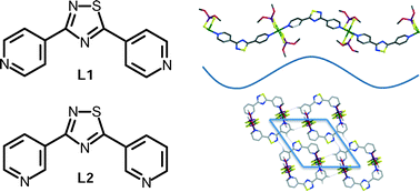 Graphical abstract: Coordination polymers and polygons using di-pyridyl-thiadiazole spacers and substituted phosphorodithioato NiII complexes: potential and limitations for inorganic crystal engineering