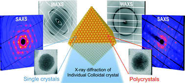 Graphical abstract: Polymorphism in nanoparticle-based crystals depending upon their single or polycrystalline character