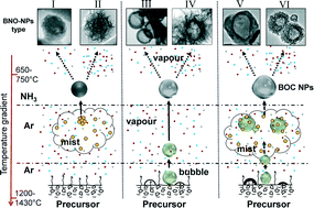 Graphical abstract: Growth of spherical boron oxynitride nanoparticles with smooth and petalled surfaces during a chemical vapour deposition process