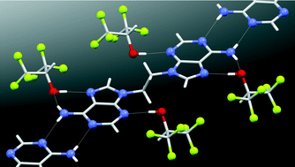Graphical abstract: Watson–Crick base pairing in 9-methyladenine and ethylene-9,9′-diadenine structures with close to 70% solvent content