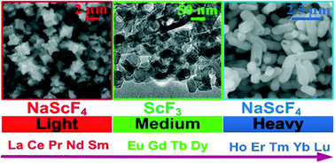 Graphical abstract: Tuning the phase, morphology and size of monodisperse ScF3 and NaScF4 crystals through lanthanide doping