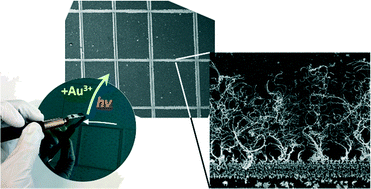 Graphical abstract: Growth of gold nanostructures on a Si wafer by concerted mechanisms of photoreduction and galvanic displacement