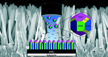 Graphical abstract: Growth of single crystal, oriented SnO2 nanocolumn arrays by aerosol chemical vapour deposition