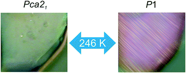 Graphical abstract: Comment on “1,4-Diazabicyclo[2.2.2]octane-based disalts showing non-centrosymmetric structures and phase transition behaviors” by X.-B. Han, P. Hu, C. Shi and W. Zhang, CrystEngComm, 2016, 18, 1563