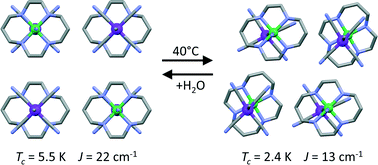 Graphical abstract: Exploration of a new building block for the construction of cyano-bridged solvatomagnetic assemblies: [Ni(cyclam)]3+