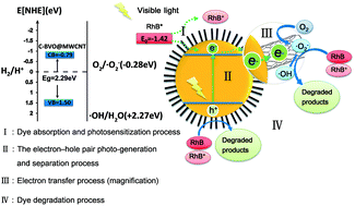 Graphical abstract: Synthesis of carbon-doped BiVO4@multi-walled carbon nanotubes with high visible-light absorption behavior, and evaluation of their photocatalytic properties