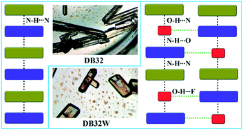 Graphical abstract: Solvatomorphism in (Z)-4-fluoro-N′-(3-fluorophenyl)benzimidamide: the role of intermolecular O–H⋯F interaction