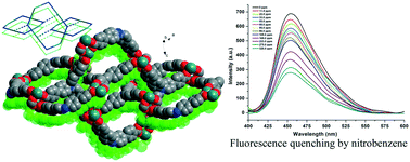 Graphical abstract: Coexistence of self- and interpenetration in two (3,6)-connected porous coordination polymers